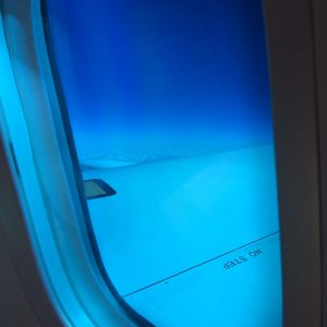flight