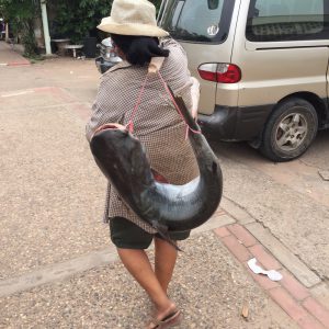 ラオスの食事