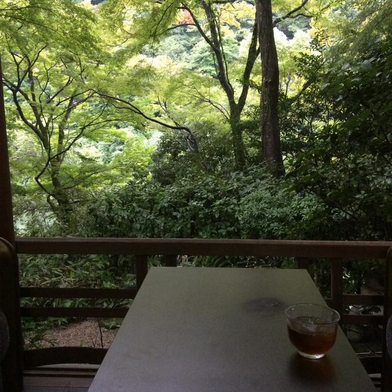 12081406_10207564651104173_644917458_n (コピー)