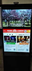 IMG_20210111_151021 (1)