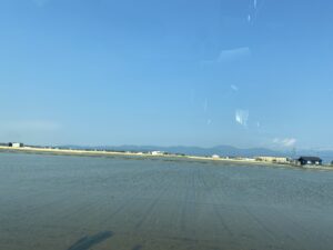 福井の水田