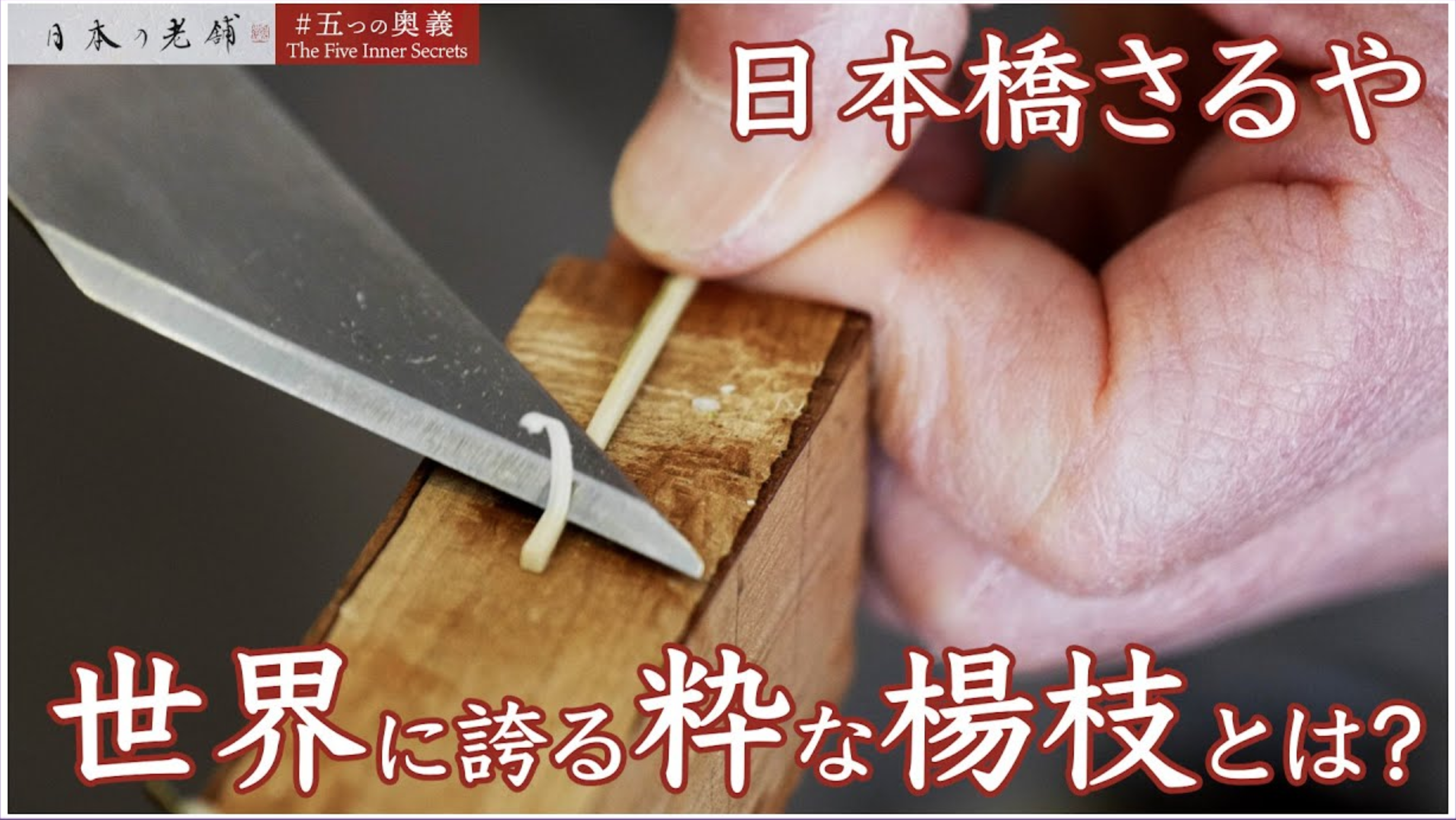 【動画公開のお知らせ】日本橋さるや様「五つの奥義」動画制作・公開のご報告